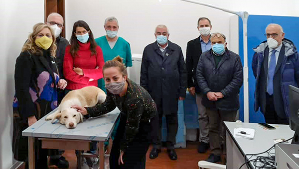 Attiva da oggi la struttura veterinaria di Termini Imerese per la sterilizzazione dei cani randagi