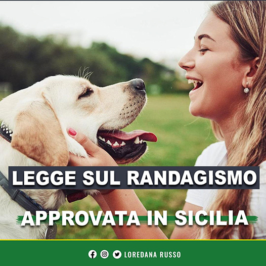 Regione Sicilia: approvata all’unanimità la nuova Legge regionale sul Randagismo
